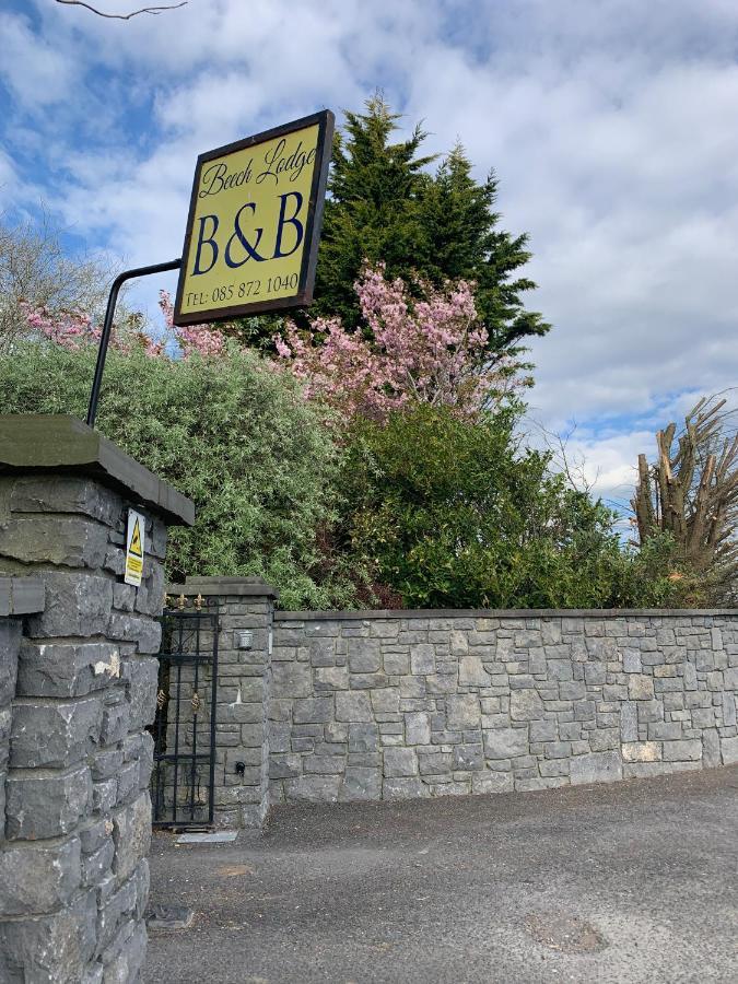 Beech Lodge B&B Lisheenanoran Exterior photo
