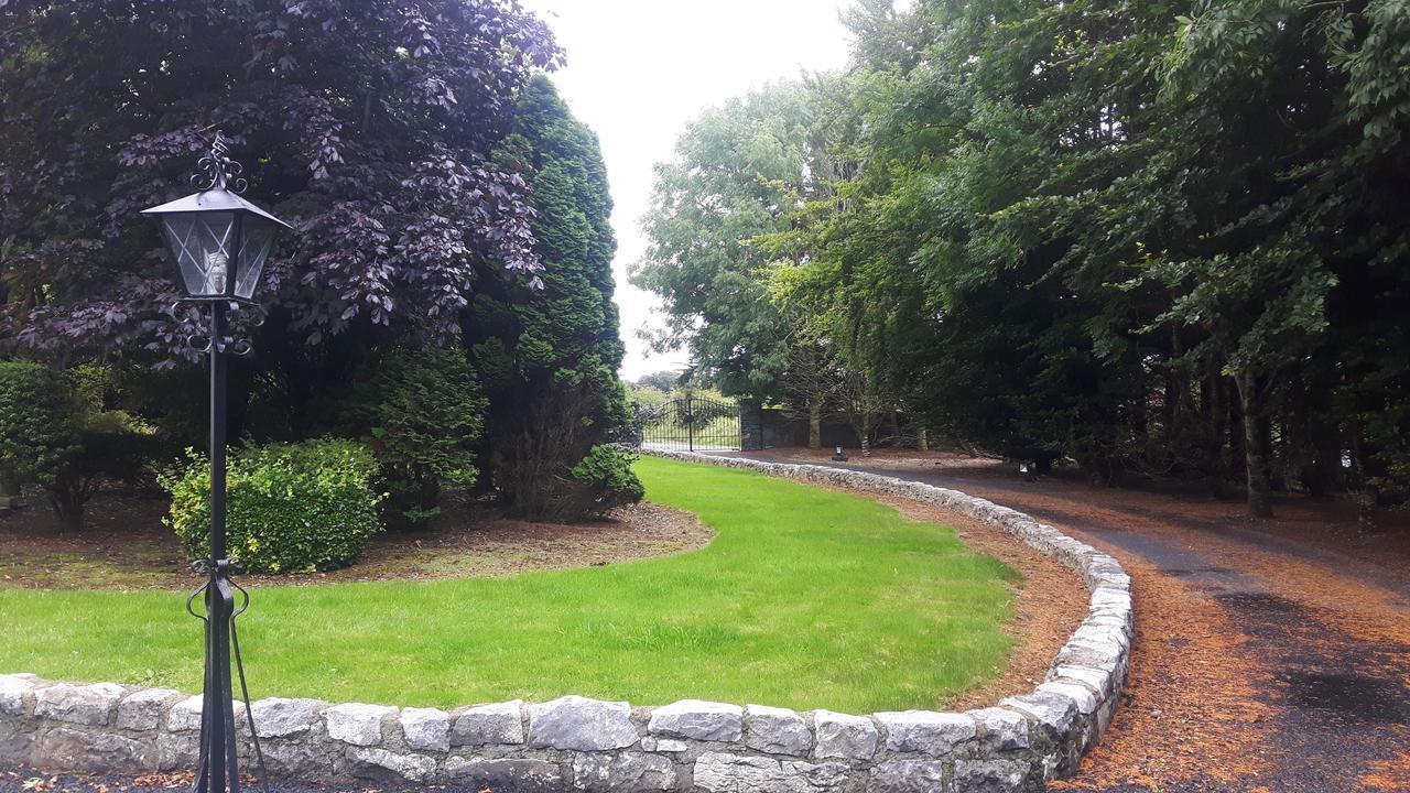 Beech Lodge B&B Lisheenanoran Exterior photo