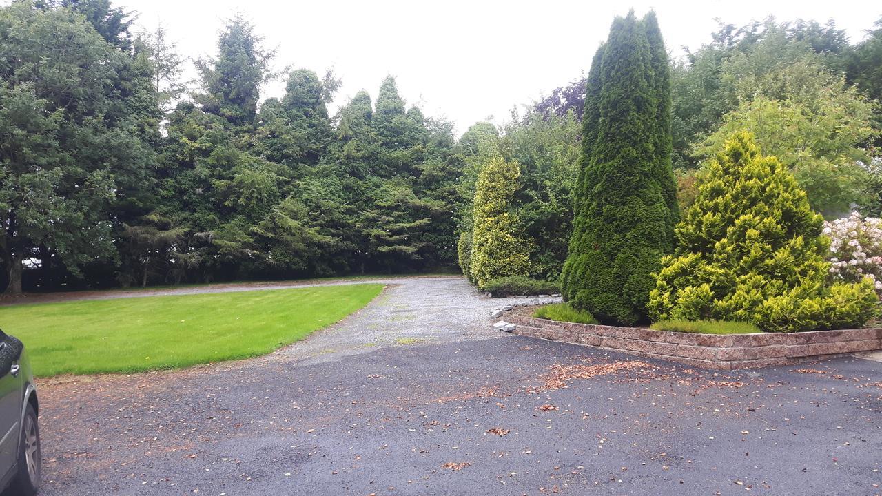 Beech Lodge B&B Lisheenanoran Exterior photo
